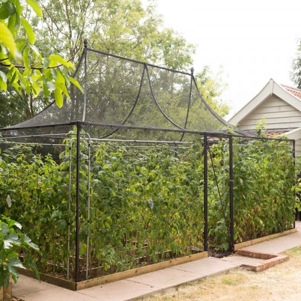 Buy Pavilion Fruit Cage Online - Plants & Plant Care