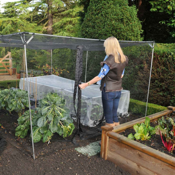 Buy Harrod Double Zip Net Access Strips Online - Plants & Plant Care Buy Harrod Double Zip Net Access Strips Online - Plants & Plant Care