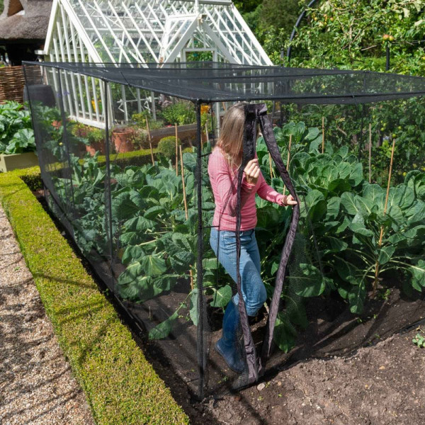 Buy Harrod Single Zip Net Access Strip Online - Plants & Plant Care Buy Harrod Single Zip Net Access Strip Online - Plants & Plant Care