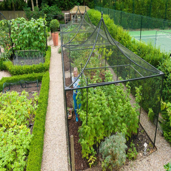 Buy Peak Roof Steel Fruit Cage Online - Plants & Plant Care