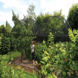 Dome Roof Steel Fruit Cage Pineapple Finial