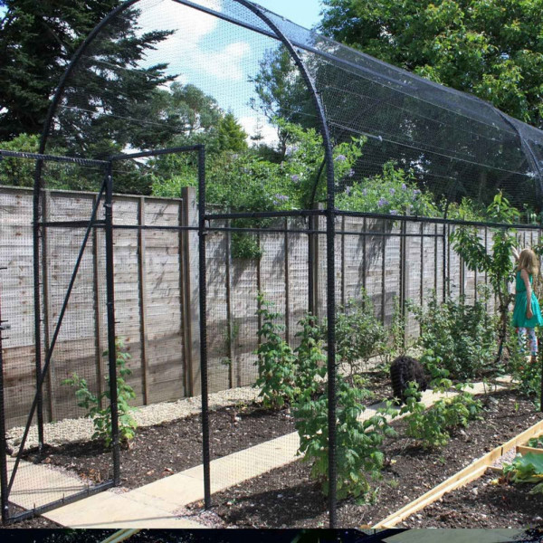 Buy Roman Arch Fruit Cage Online - Plants & Plant Care
