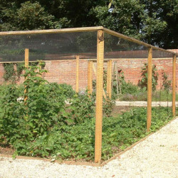 Timber Fruit Cage Door Kit (additional)