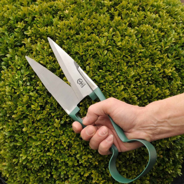 Buy Topiary Trimming Shears Online - Garden Tools & Devices Buy Topiary Trimming Shears Online - Garden Tools & Devices