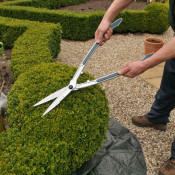 Decorative Garden Accessories