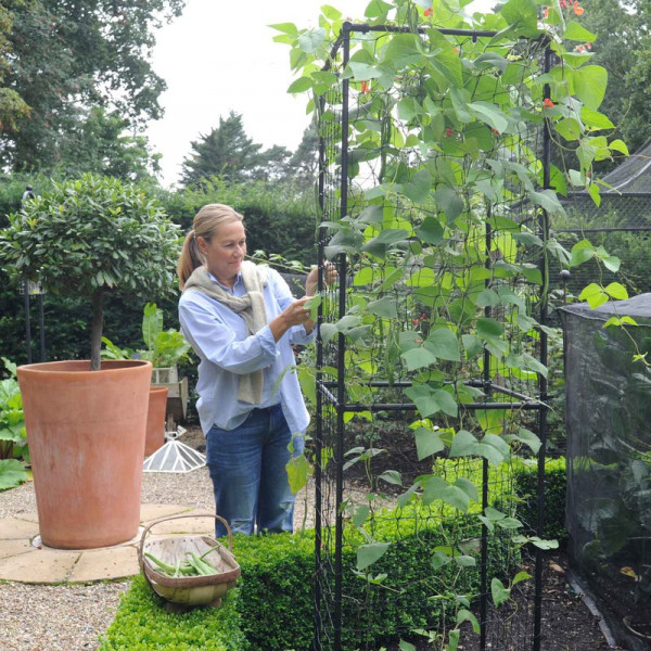 Buy Harrod Slot ; Lock Online - Other Garden Equipment & Decoration