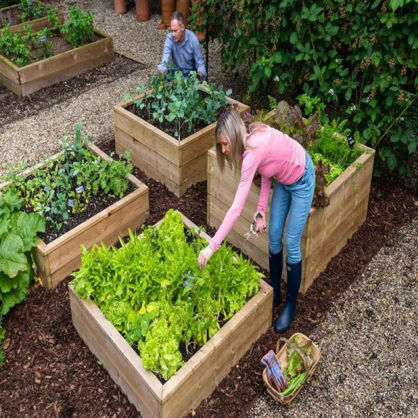 Buy Standard Wooden Raised Beds Online - Garden Fences & Gates