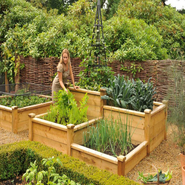 Buy Superior Wooden Raised Beds Online - Garden Fences & Gates