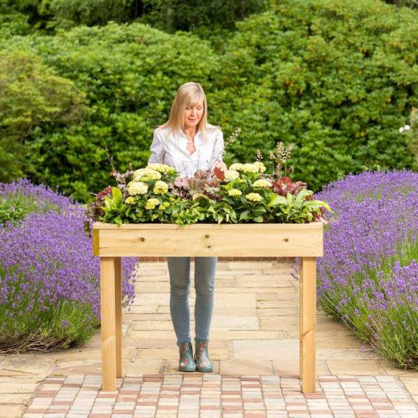 Buy Standard Wooden Raised Bed Tables Online - Other Garden Equipment & Decoration