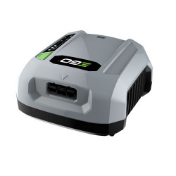 Ego Power + Chx5500e Commercial Charger