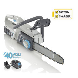 Swift Eb212d2 Cordless Chainsaw with Battery and Charger