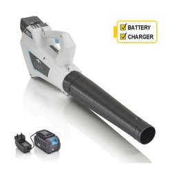 Swift Eb430d2 Cordless Blower with Battery and Charger