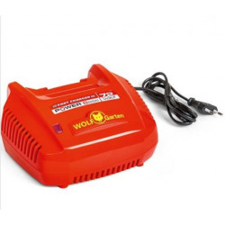 Wolf Garten 72v Fast Charger