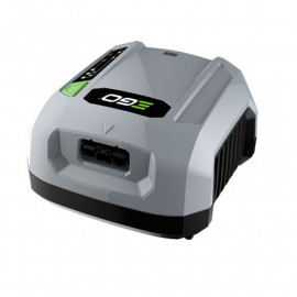 Ego Power + Chx5500e Commercial Charger