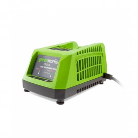Greenworks 40v Battery Charger