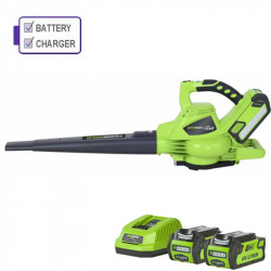 Greenworks Gd40bv 40v Cordless Blower Supplied 2 X Battery & Charger