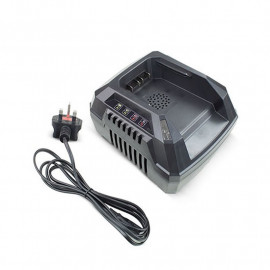 Hyundai Hych405 40v Fast Charger