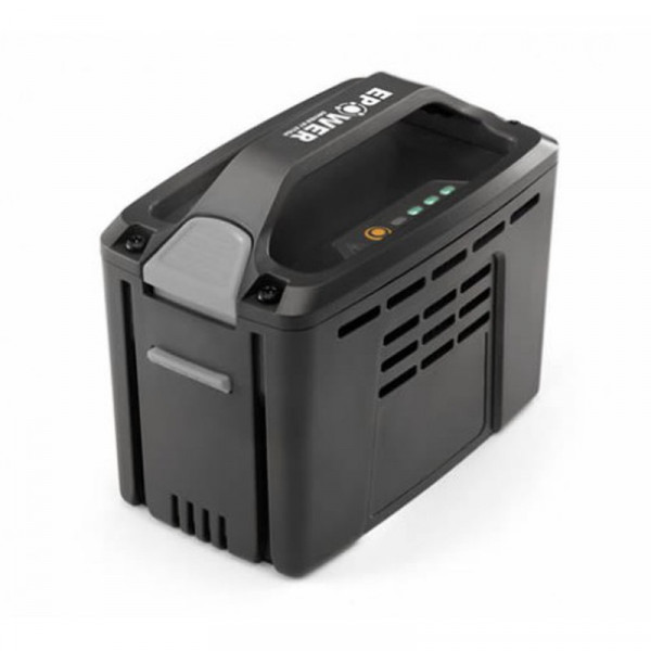 Buy Mountfield BT 420 48v 500 Series 2Ah 86.4Wh Lithium Battery Online - Garden