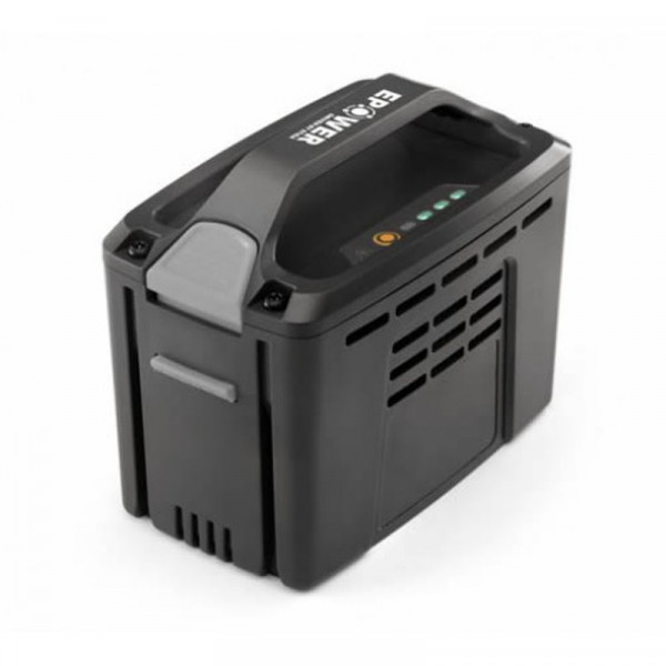 Buy Mountfield BT 450 48v 500 Series 5Ah 216Wh Lithium Battery Online - Garden