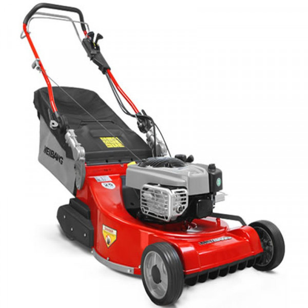 Buy Weibang Legacy 56VE Self Propelled Rear Roller Lawn mower Online - Petrol Mowers