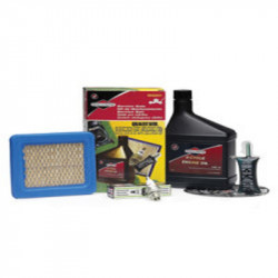 Briggs & Stratton Quantum Engine Servicing Kit 992233