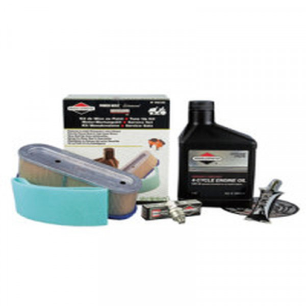 Buy Briggs ; Stratton Model 25/28 Service Kit (11 12hp) 998101 Online - Motorised Trimmers & Accessories