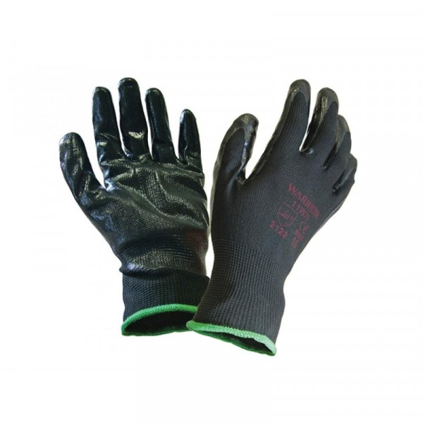 Buy Scan Inspection Seamless Gloves Large 12 Pairs Online - Clothing & Accessories Buy Scan Inspection Seamless Gloves Large 12 Pairs Online - Clothing & Accessories