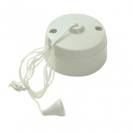 Smj 6amp 2 Way Ceiling Switch