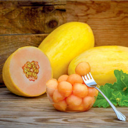 Melon Plants Mangomel