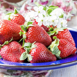 Strawberry Plants Korona