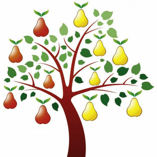 Buy Pear Tree Duo Beurre Hardy/Williams Bon Chretien Online - Green plants & flowering plants Buy Pear Tree Duo Beurre Hardy/Williams Bon Chretien Online - Green plants & flowering plants