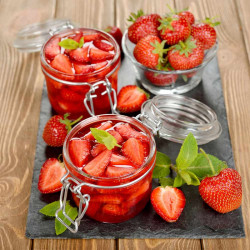 Strawberry Plants All Season Collection