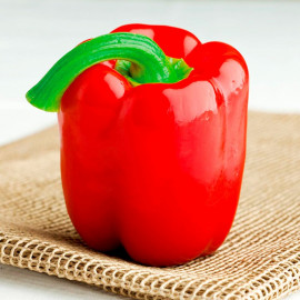 Pepper Grafted Plant Denver