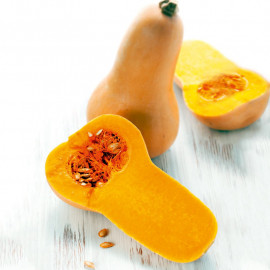 Butternut Squash Plants Hunter
