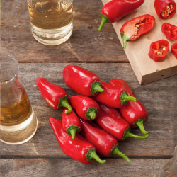 Chilli Pepper Apache