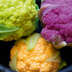Cauliflower Plants Tri Colour Collection