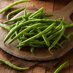 Bean (french Dwarf) Plants Safari