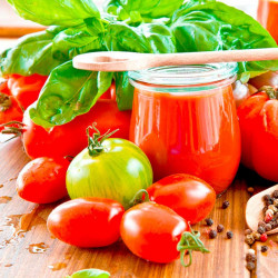 Grafted Tomato Plant F1 Giulietta