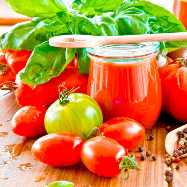 Buy Grafted Tomato Plants F1 Giulietta Online - Green plants & flowering plants