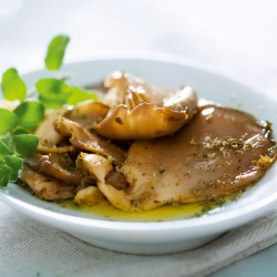 Mushroom Windowsill Kit Oyster