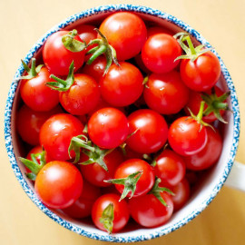 Tomato Plants Sweet Aperitif