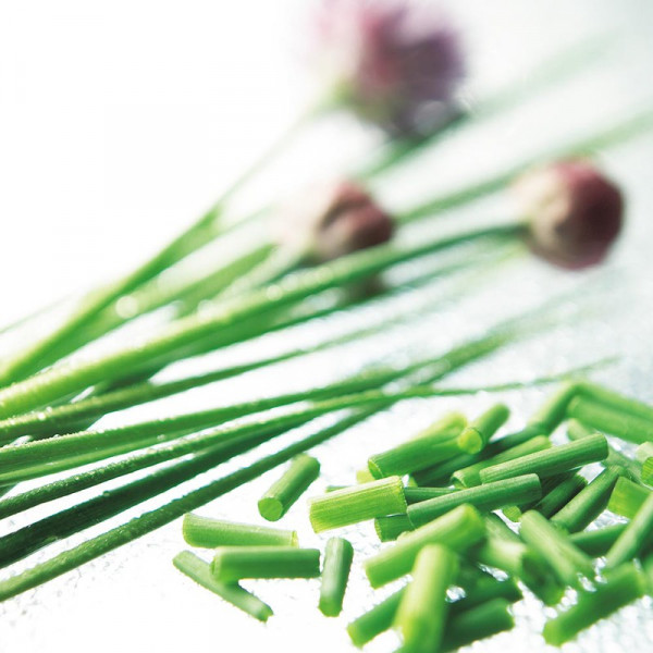 Buy Herb Plant Chives Online - Green plants & flowering plants