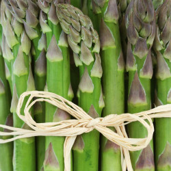 Asparagus Crowns Gijnlim