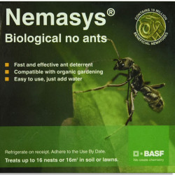 No Ants (up to 16 Nests)