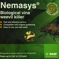 Nematode Vine Weevil Killer 12m (spring and Autumn)