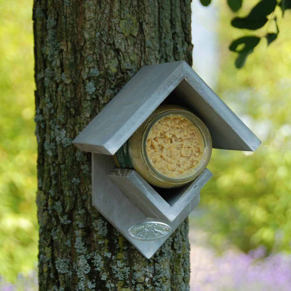 Buy Peanut Butter House Online - Green plants & flowering plants