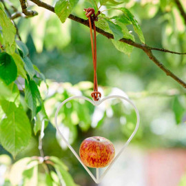 Heart Shaped Apple Bird Feeder