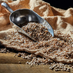 Sunflower Hearts (12.75kg)