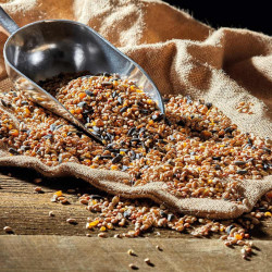 All Season All Year Mix (25.5kg)