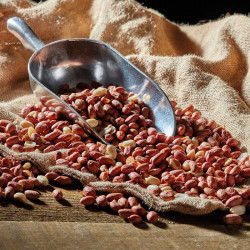 Peanuts Aflatoxin Tested